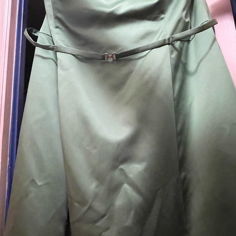 Plus size Michaelangelo formal gown